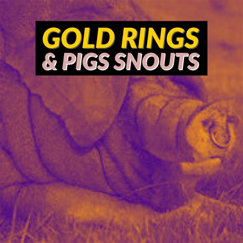 Gold Rings And Pig Snouts The Scripture Feed