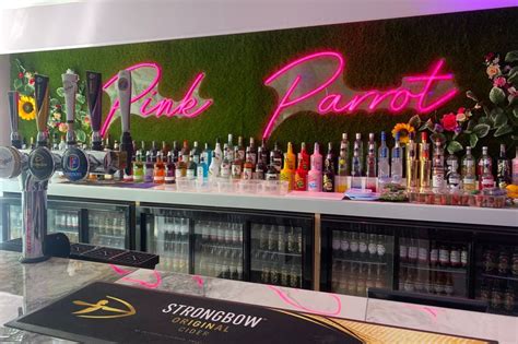 Inside Hulls New And Most Instagrammable Bar Pink Parrot Hull Live