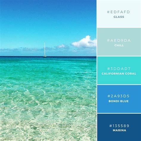 How To Choose Your Brand Colors Aqua Color Palette Blue Color