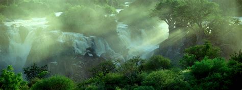 Waterfall Wasserfall Trees Landscape Scene  Animated
