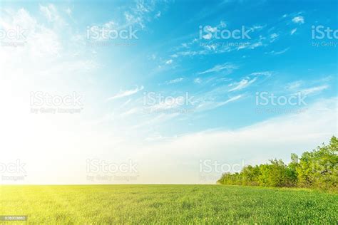 Green Grass Field Under Sunset In Blue Sky With Clouds Stock Photo