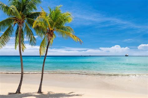 Best Beaches In Jamaica 2021 Lucila Zaragoza