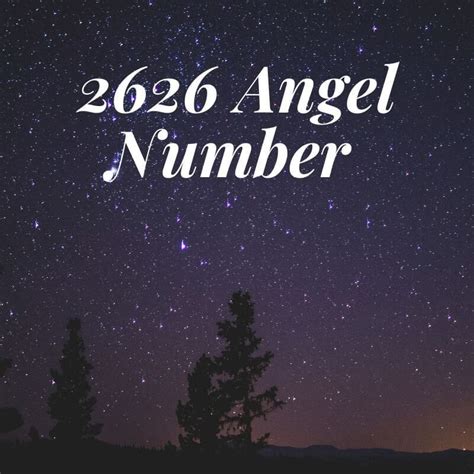 2626 Angel Number Explanation According To Numerology If You Are