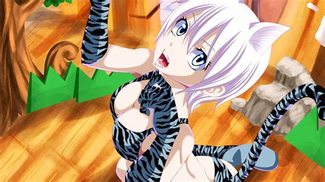Wallpaper Illustration Nekomimi Anime Girls Cat Girl
