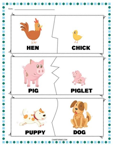 Animals And Their Babies Worksheets Free 10 Page Pdf