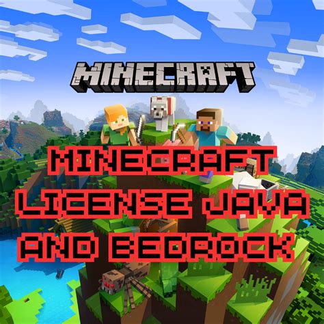 Minecraft License Java And Bedrock Igv