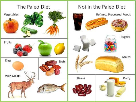 The Paleo Diet 5 Fast Facts You Need To Know