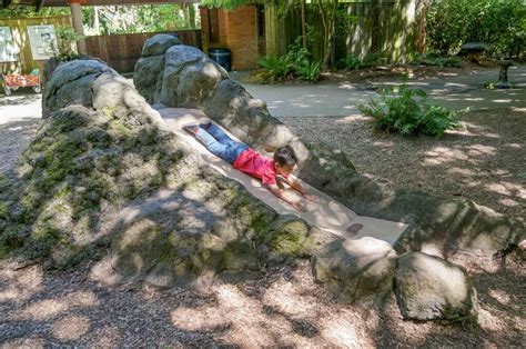 Local Moms Guide To Woodland Park Zoo In Seattle