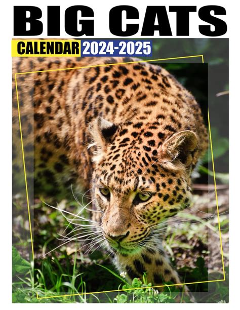 Big Cats Calendar 2024 2025 Bring Joy And Stay Organized