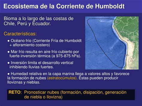Ppt Ecosistema De La Corriente De Humboldt Powerpoint Presentation