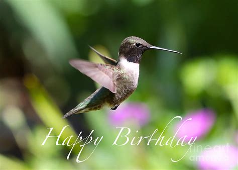Happy Birthday Images With Hummingbirds💐 — Free Happy Bday Pictures And
