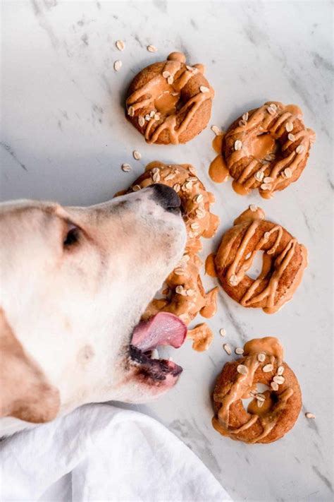 Dog Treats Homemade Recipes Diy Dog Treats Dog Treat Recipes Healthy