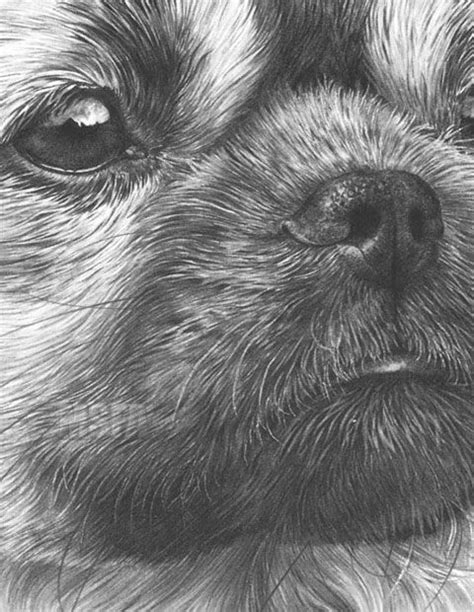 Open Edition Prints From Original Graphite Pencil Drawings By Mike