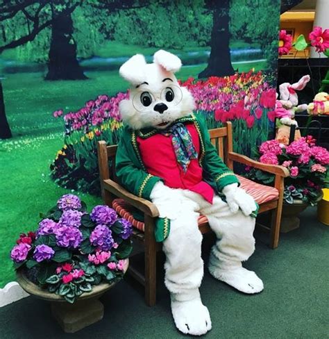 Easter Bunny Arrives At Local Malls This Week