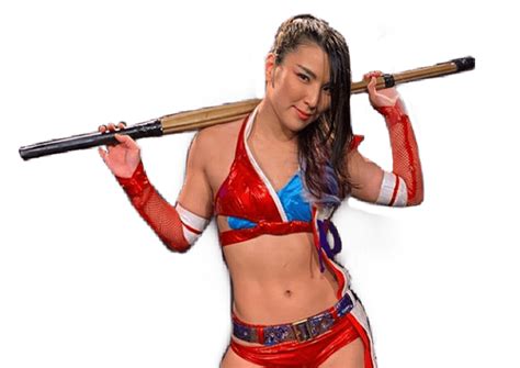 Hikaru Shida Profile Career Stats Face Heel Turns Titles Won