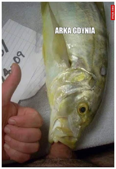Klara lundquist ma zostać nową rozgrywającą koszykarek. Arka Gdynia Memy / Arka Gdynia Wygrala Z Fc Midtjylland ...