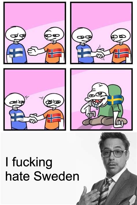 I Was Having A Good Day But Then I Remembered Sweden Meme Subido