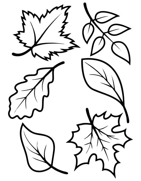 7 Best Fall Leaves Printable Templates