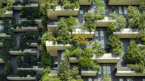 Urban Forests And The Transformation Of Cities Three