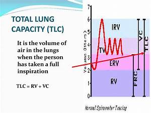 Ppt Lung Function Tests Powerpoint Presentation Free Download Id
