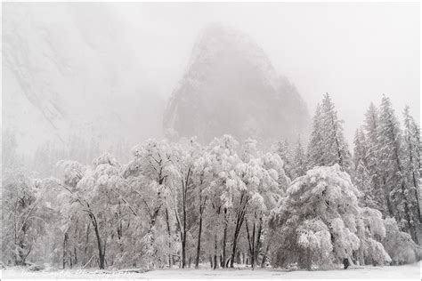 Tips For Having A Successful Snow Day In Yosemite National Park