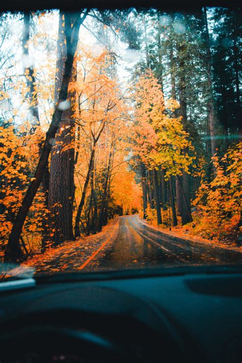 Autumn In California Tumblr