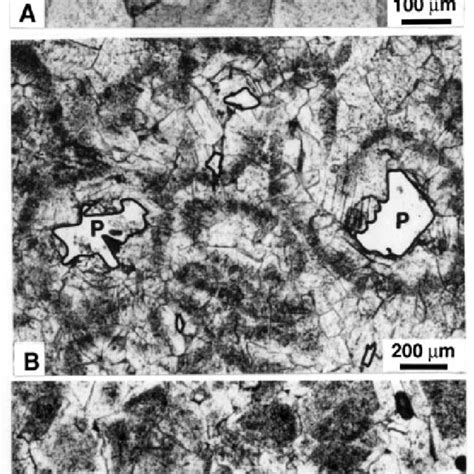 Photomicrographs Of Late Diagenetic Replacement Dolomite Textures A