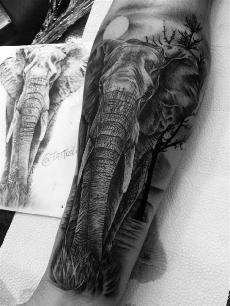Elephant By Tattoolucas Tattoo Tatuagem Elefante Significado De
