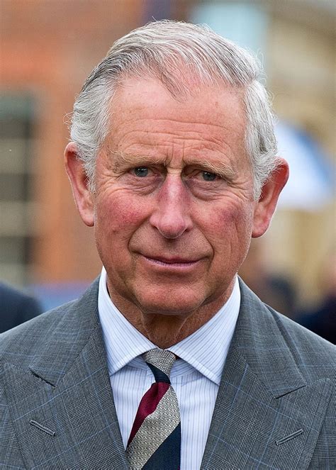 Fears Prince Charles Future As King Is Headed For Disaster New Idea