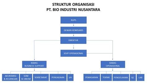 Contoh Struktur Organisasi Perusahaan Pt Midi Imagesee