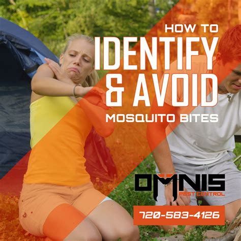 How To Identify Mosquito Bites Omnis Pest Control