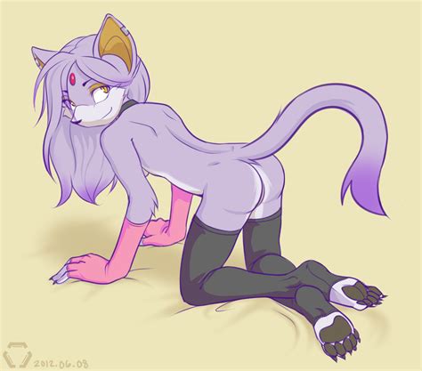 Rule 34 All Fours Anthro Ass Blaze The Cat Breasts Cat Charisma Collar Feline Female Female