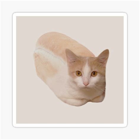 Bread Loaf Cat Stickers Redbubble