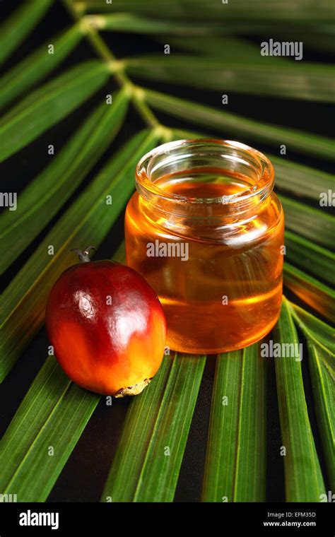 Oil Palm Fruits And Oil Bottle On A Leaves Background Stock Photo Alamy