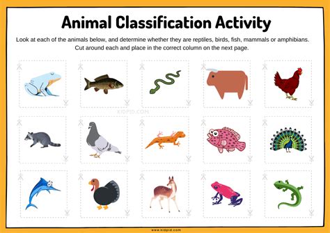 Animal Classification Sorting Worksheet Kidpid