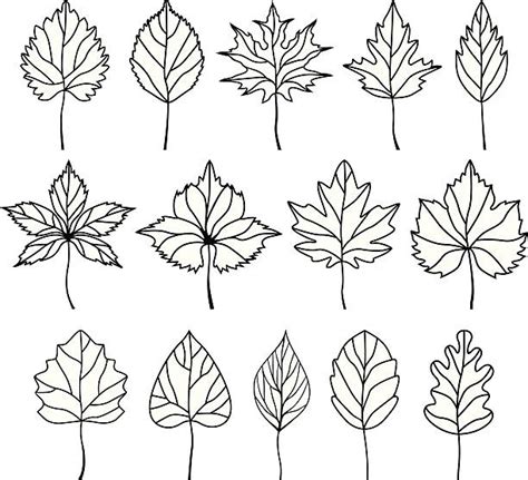 110 Aspen Leaf Silhouette Stock Photos Pictures And Royalty Free Images