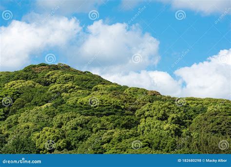 Mountain Forest With Blue Sky And Clear Weather Stock Photo Image Of