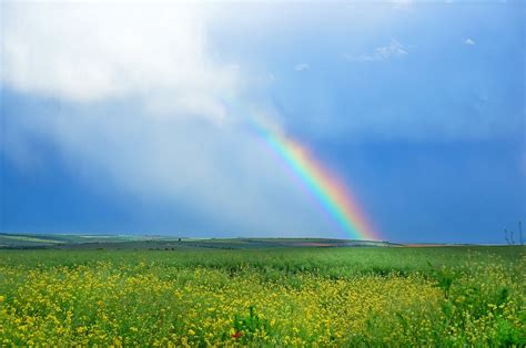 Rainbow Green Field Blue Sky · Free Photo On Pixabay