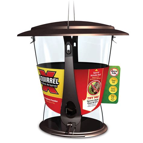 Petsmart Bird Feeders