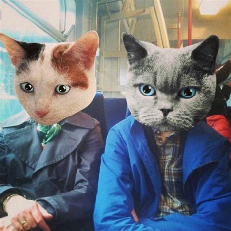 Cool Catz On Da Train Cats Cool Cats Scary