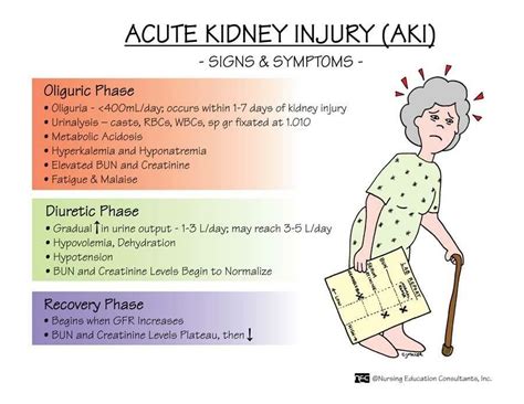 Nursing Student Cheat Sheet Acute Kidney Injury Renal
