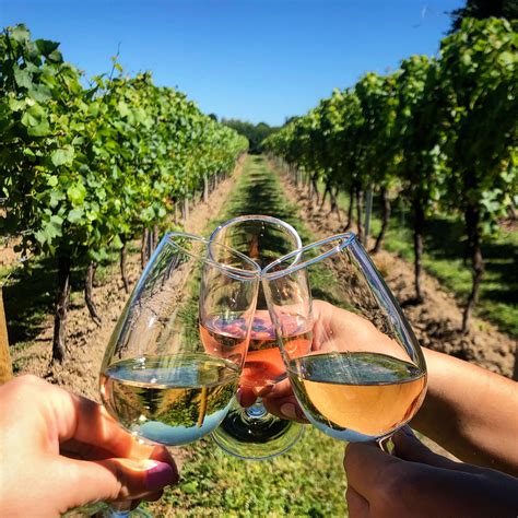 Private Wine Tour Vineyards Wine Tours Of Kent Guided Wine