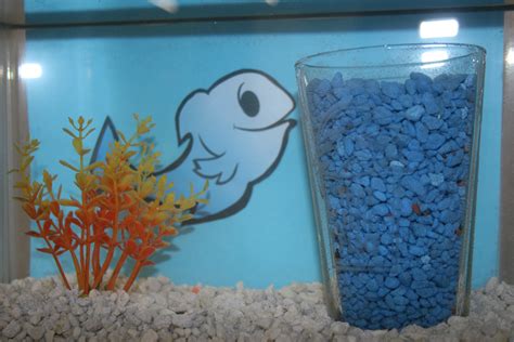 Aquarium Decoration Ideas And Diy Fish Bowls That Fish Blog