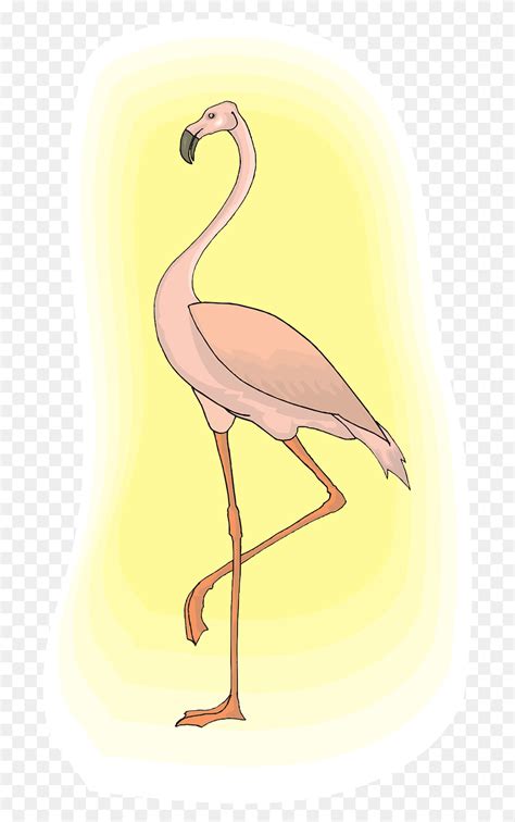 Pink Flamingo Flamingo Clipart Bird Animal Hd Png Download Stunning