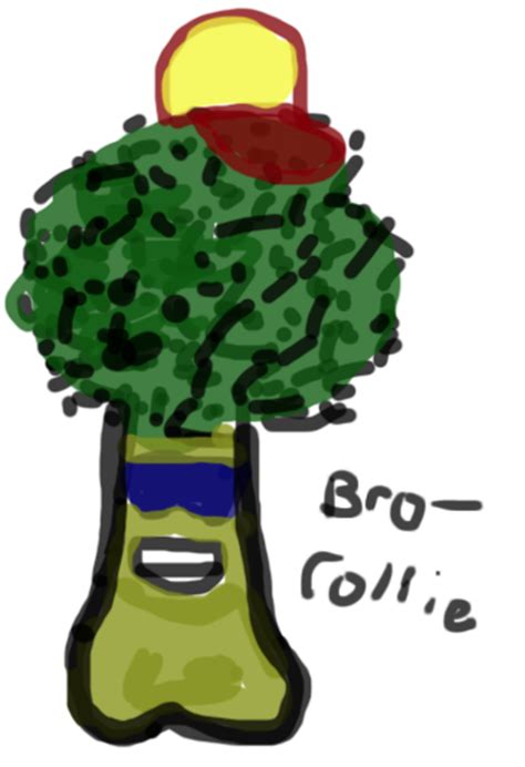 Bro Collie The Cool Broccoli My Blog