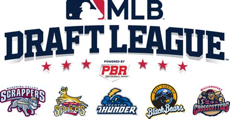 Comprehensive major league baseball news, scores, standings, fantasy games, rumors, and more. WV Black Bears to join new 'MLB Draft League' | WBOY.com