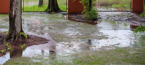 Having drainage issues in yard, not only causes standing water damage to your grass and the plantings, but it can also be a health hazard. Drainage Solutions - We'll Help You Prevent Yard Erosion