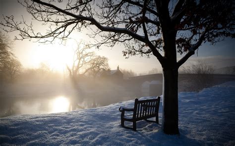 Nature Landscapes Morning Dawn Sunrise Trees Bench Winter Snow