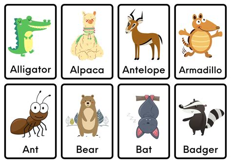 Animal Flashcards Printable Kindergarten Learning Flashcards Preschool