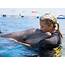 Marineland Dolphin Adventure Celebrates 80th Anniversary  The Ponte